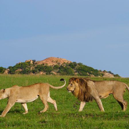 Nkomazi Game Reserve By Newmark Badplaas Bagian luar foto