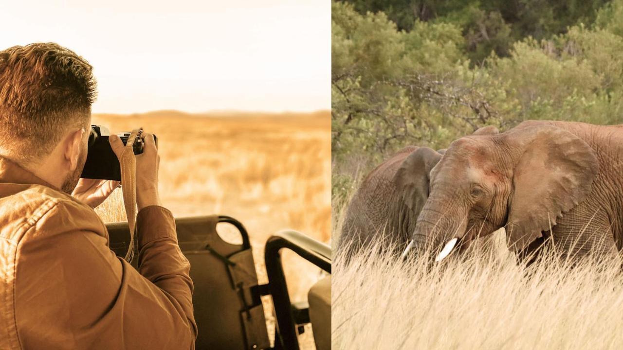 Nkomazi Game Reserve By Newmark Badplaas Bagian luar foto