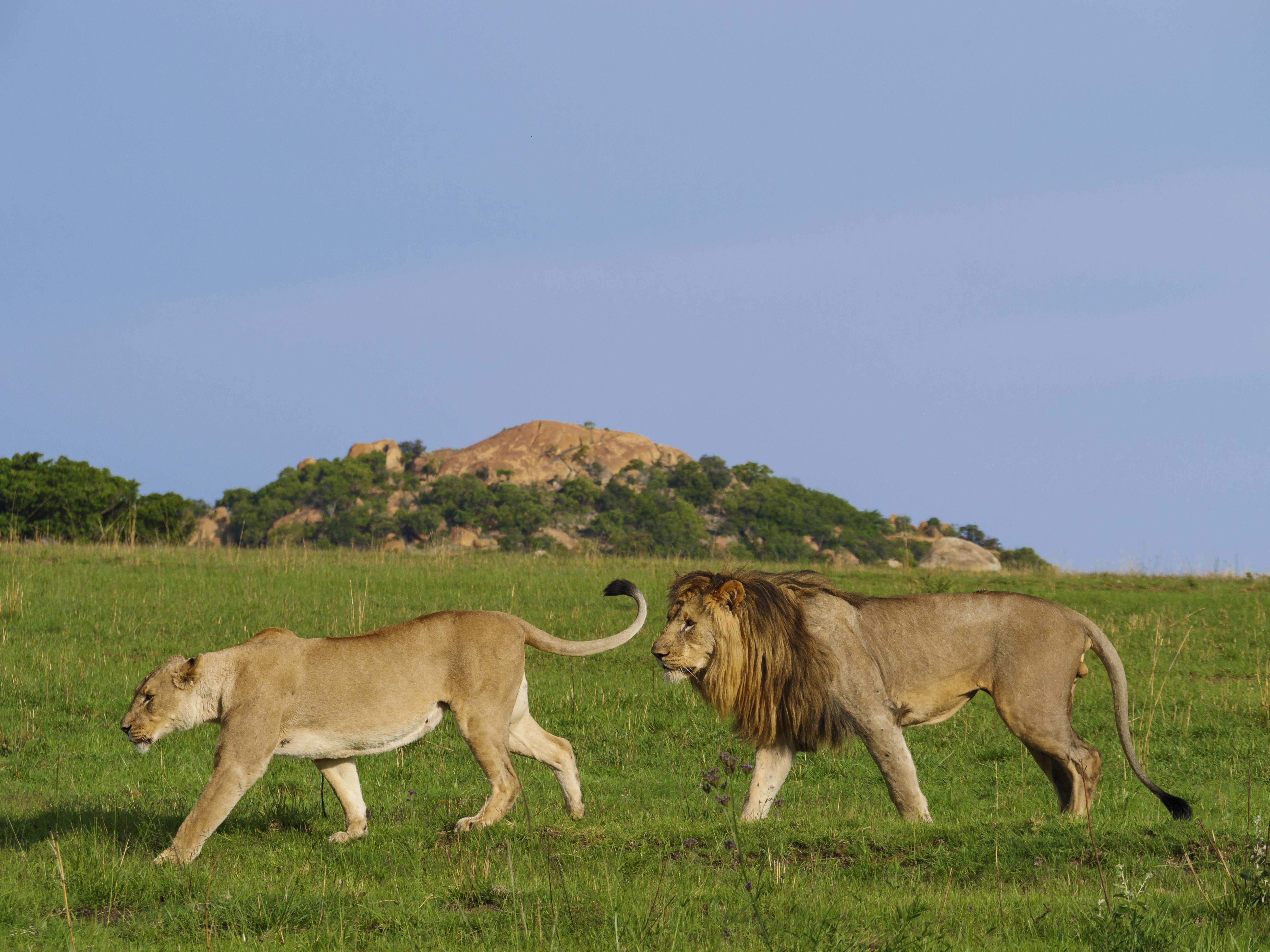 Nkomazi Game Reserve By Newmark Badplaas Bagian luar foto