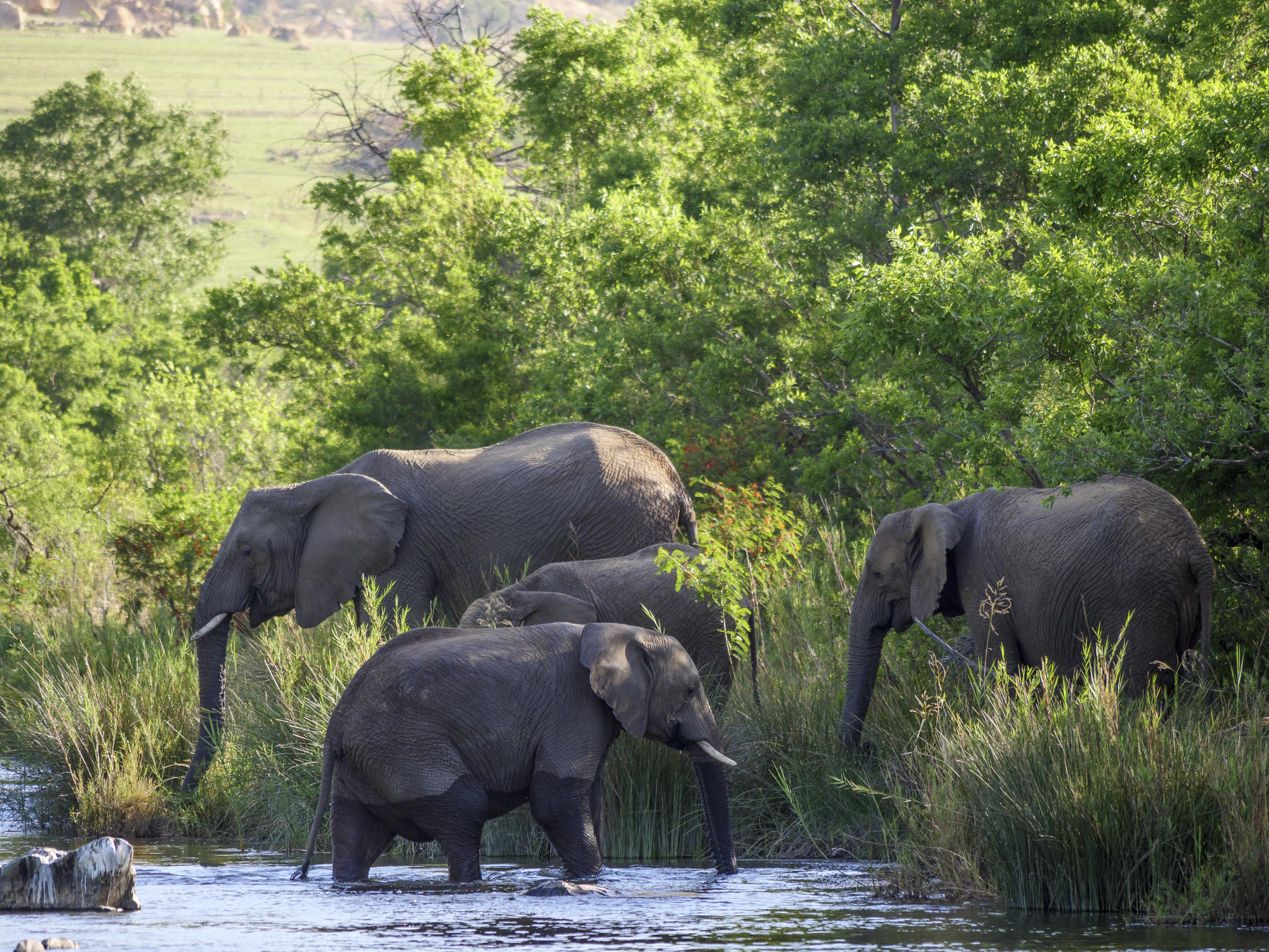 Nkomazi Game Reserve By Newmark Badplaas Bagian luar foto